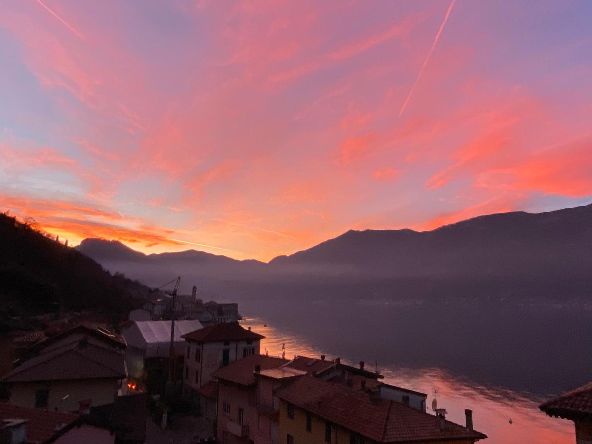 Tiziana Lake Como View Terraces Leilighet Lezzeno Eksteriør bilde